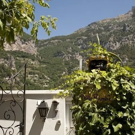 Palumbo 3*